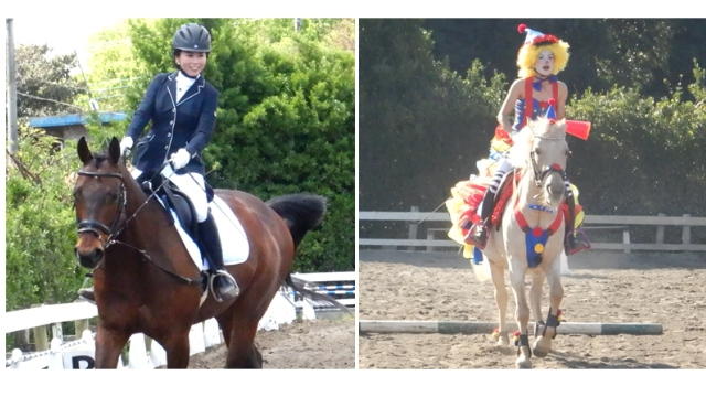 乗馬イベント