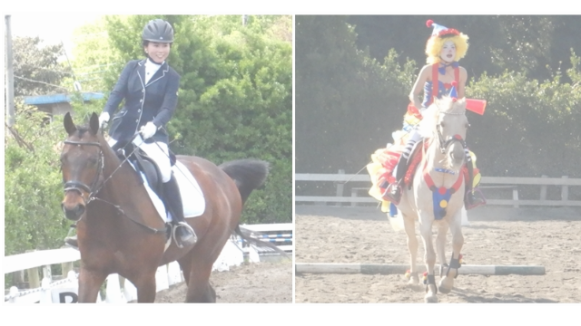 乗馬イベント