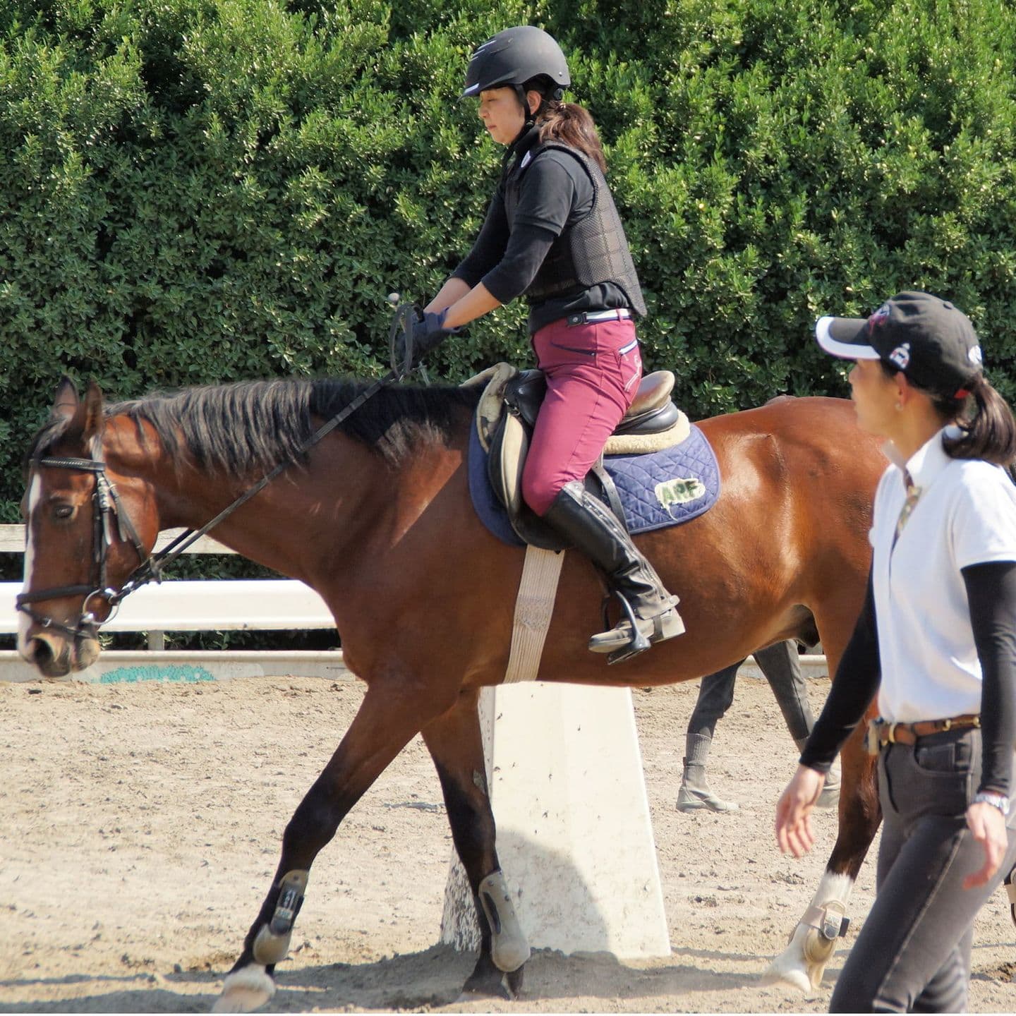 乗馬レッスン